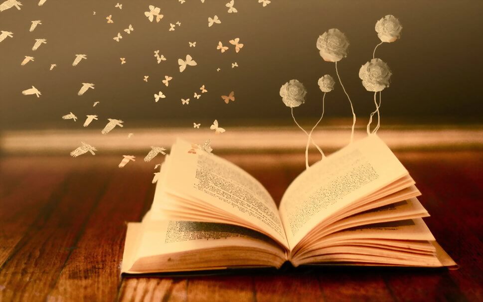 Qué es un Libro