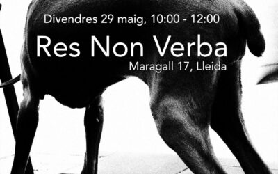 Moriyama’s mindfulness — Una xerrada de Ken Goddard